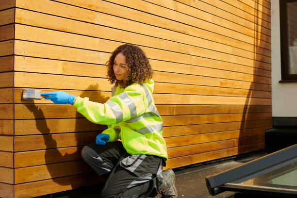 Professional Siding in Lamoni, IA